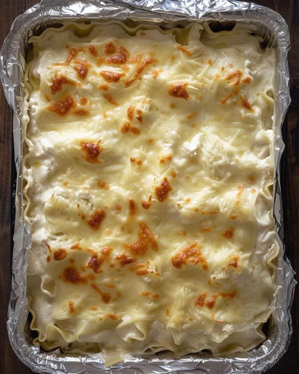 Creamy Chicken Lasagna Recipe