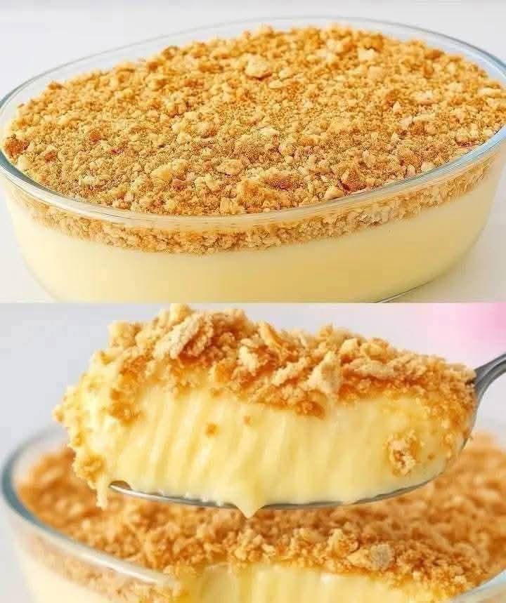 Creamy Layered Delight: The Perfect No-Bake Biscuit Pudding Recipe