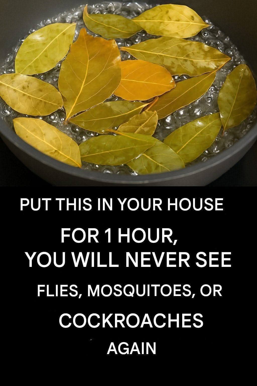 Banish Flies, Mosquitoes, and Cockroaches with These Simple Natural Remedies